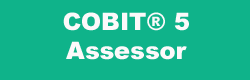 COBIT&reg; Assessor (3 Days)