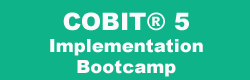 COBIT® Implementation Bootcamp (5 jours)