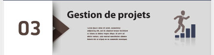 Gestion de projets